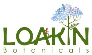 up-the-hill-at-loakin-final-logo-new-aug-2023